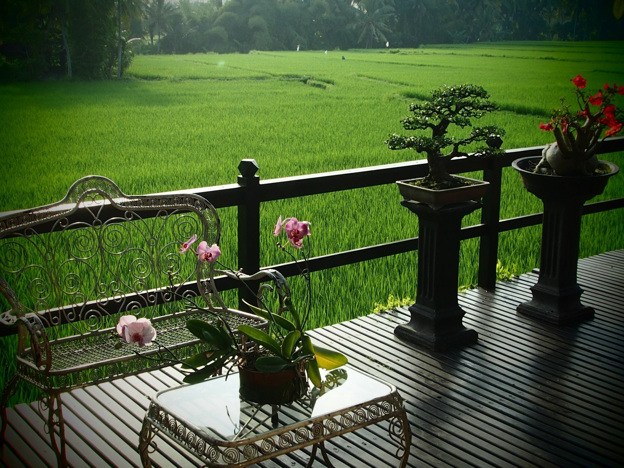 Lodtunduh Sari Hotel Ubud  Exterior photo