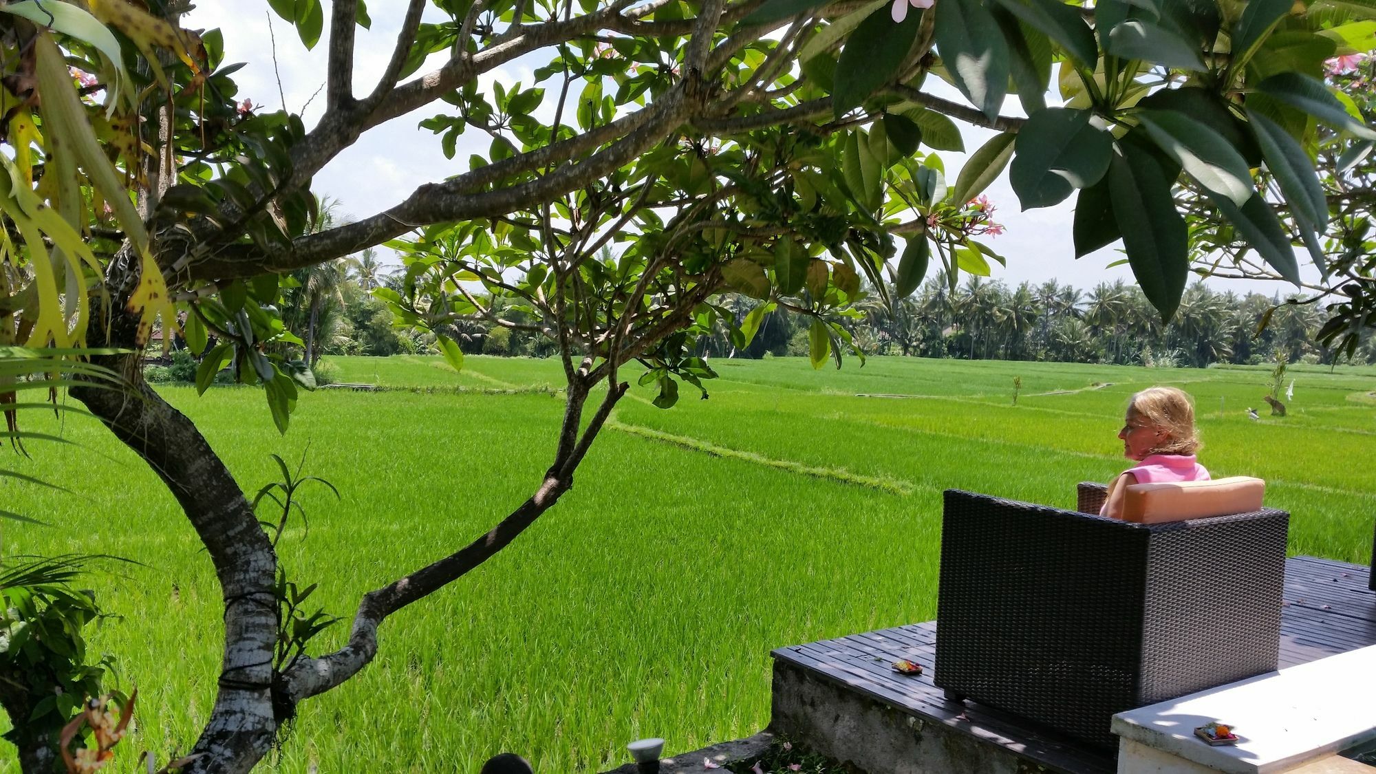 Lodtunduh Sari Hotel Ubud  Exterior photo